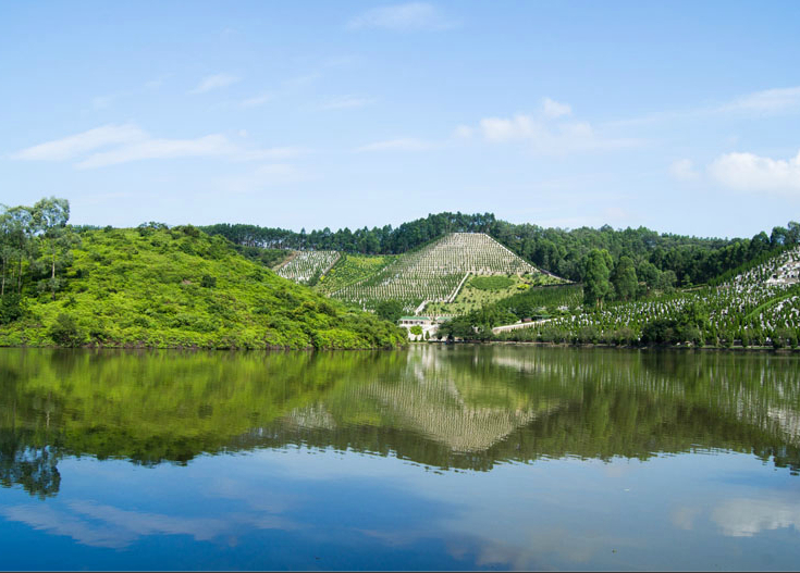 ��һ������Ĺ�����Ǻ��б�Ҫ��