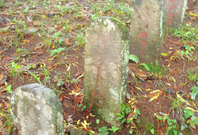 ��Ĺ���ǹ�·��