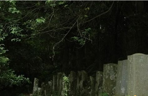 ��Ĺ�����������¼���