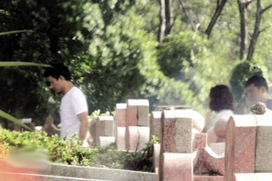 Ŀ�û𻯹���