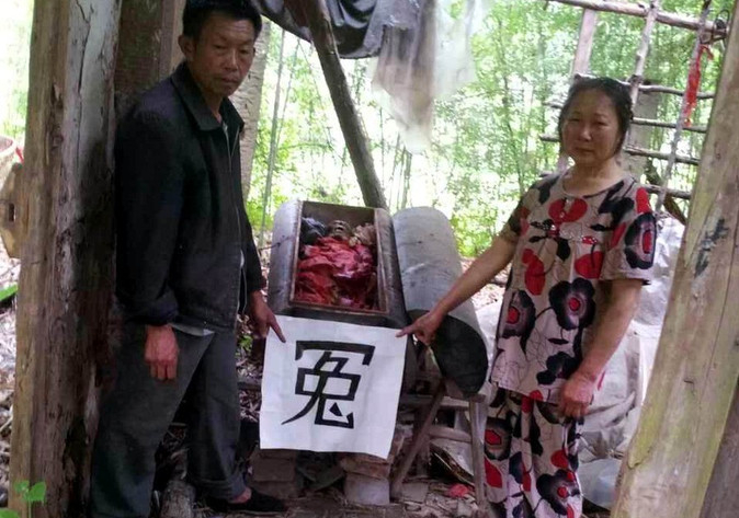 Ů�����������ɸ�ʬ ������ʬʮ�����ղ���