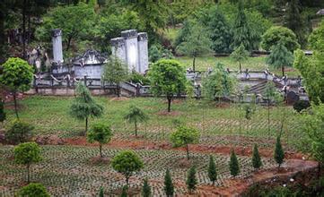 ���ض�һ������ԱȦռũ�õؽ�Ĺ��