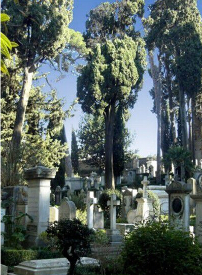 ϸ����Щȫ��������Ϊ��֪�Ĺ�Ĺ