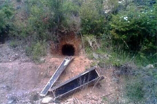 ���˷��֣��з�����Ů���������