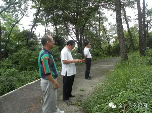 ��Ĺ�ط�ˮ��ĹѨ����Ҫ�������ԭ��