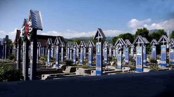 ������Ĺ԰������������ˣ�