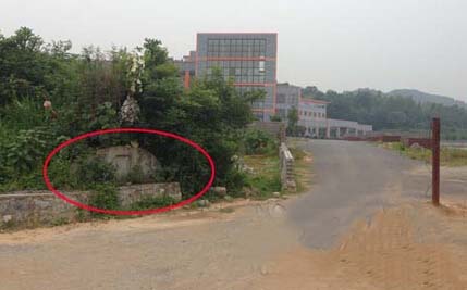 ΪʲôѧУһ�㶼�����ڹ�Ĺ��Ĺ���ϣ�