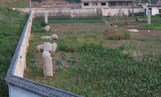 ����һ��԰���԰���������ﱣ�����٣�