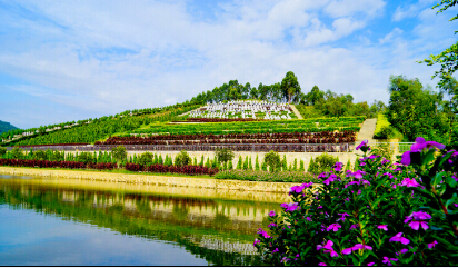 ������Ĺ��԰����