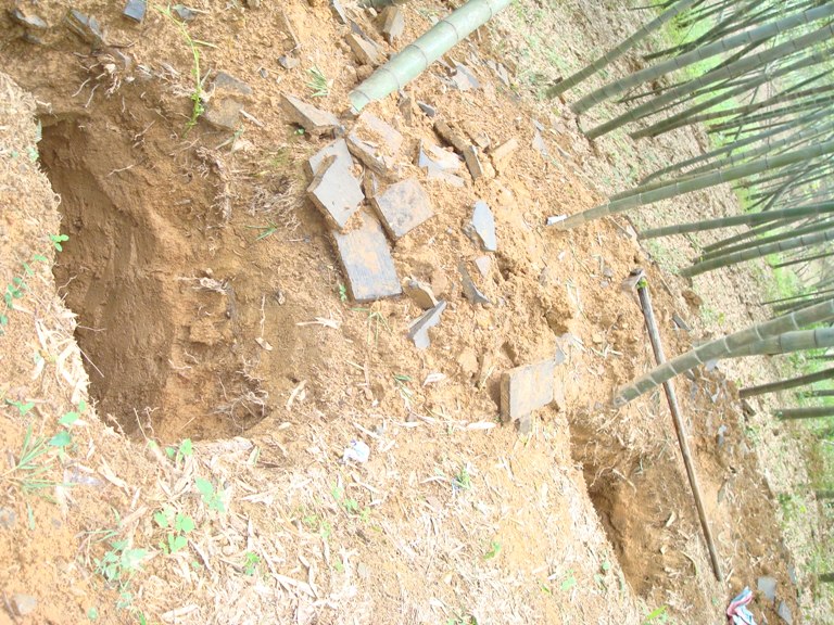 �����Ĺ������˯Ĺ��  �����Ƶ�Ĺ�ܷ���