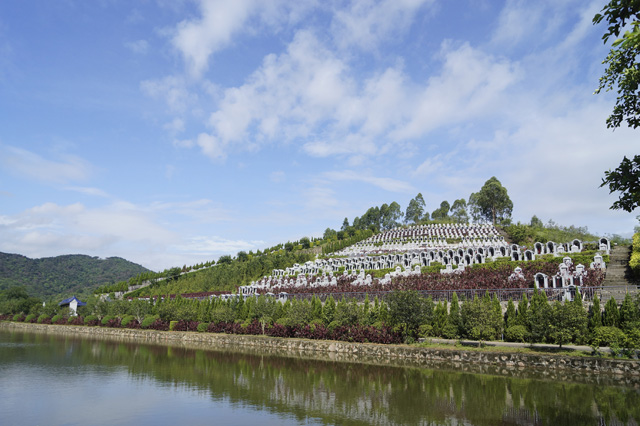 ���ڽ�����԰��һ�ڡ�ʥ��԰��ʥ��԰��Ĺ��ȫ���������۹���