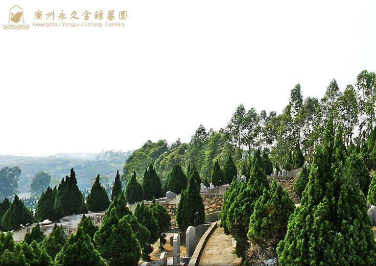 Ĺ��������ֲʲô����ֲ��