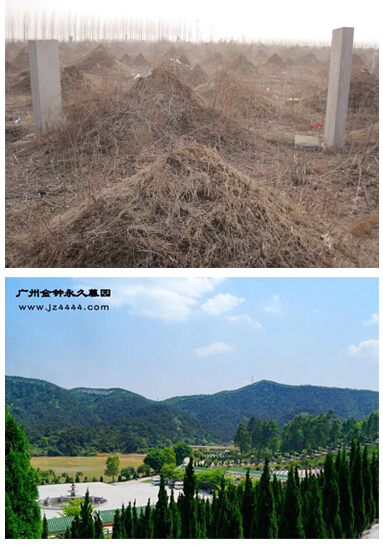 Ĺ�ؽ�����Ҫʲô���ʣ���Щ���ʽϺã�