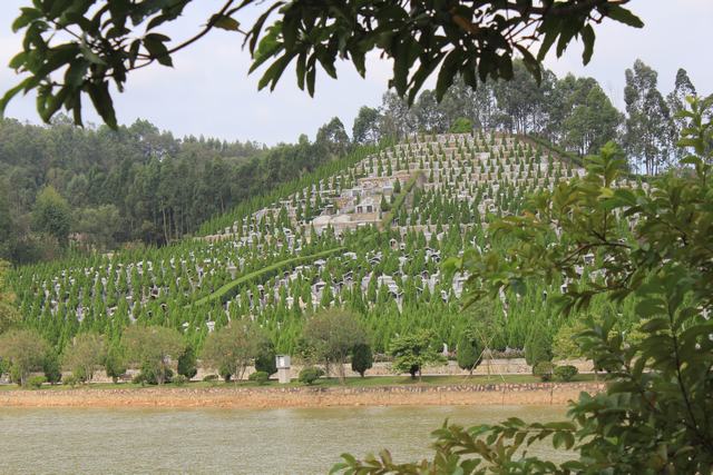 Ĺ��Ǩ����Ҫע�������