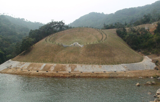 ��Ϊ������������