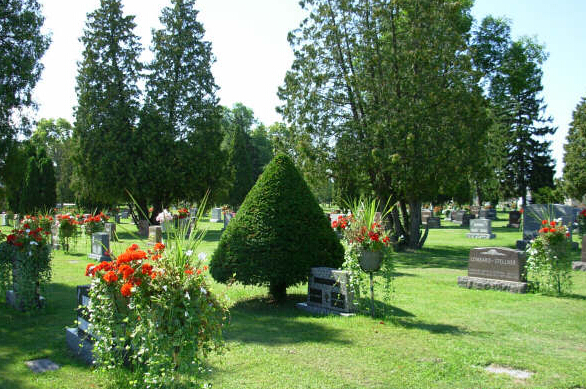 ����������Ĺ������