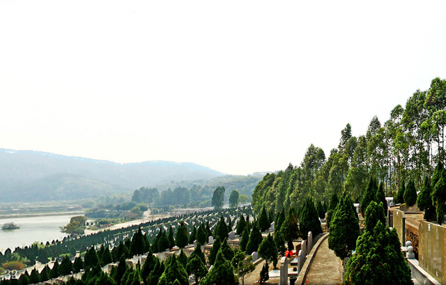 ������ڶ๫Ĺ�����ҵ���Ѩ