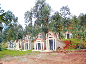 �����ŮĹ�طص�