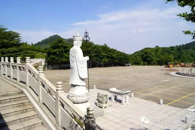 Т����������Ϊ����ѡ��һ����Ĺ԰?