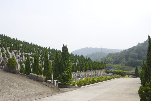 ��Ĺ���������