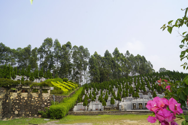 �ҹ�����ĸ����ݼ�δ����Ĺ���