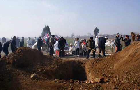 Ĺ����������