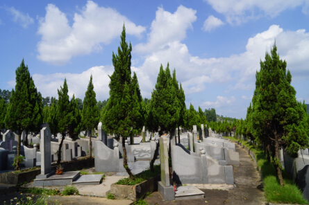 ɥ����Ĺ��