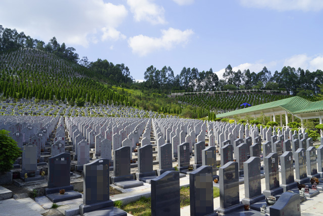 �����ļҹ�Ĺ����ˣ�