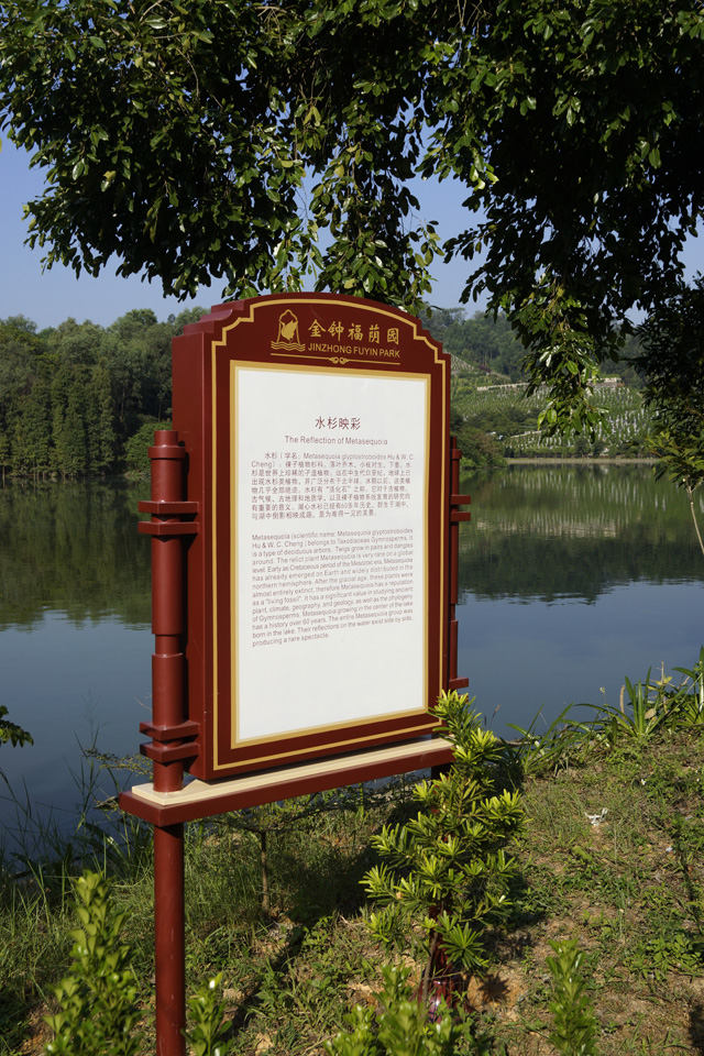 ���ֽ���������3A��������·�ߣ�Ĺ԰�����¡�ָʾ�ơ�