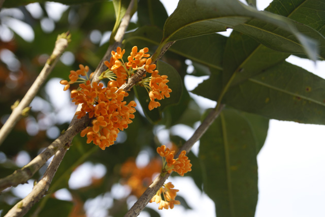 ���Ʈ�㣬����Ĺ԰����Т����ʮ��