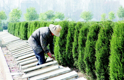 Ĺ԰��������ľֲ��