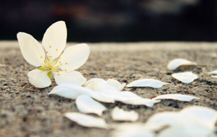 ����������ں�������