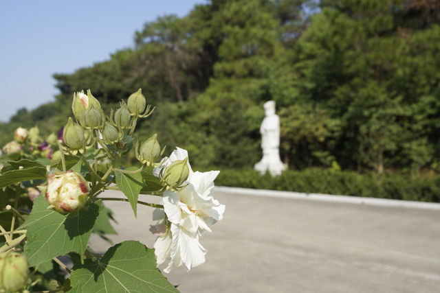 ϸ˵��Ȼ��̬Ĺ԰֮����Ĺ԰�ھ�