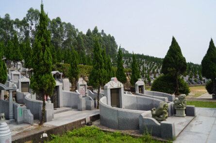  Ĺ����ҵ��Ӧ��ֵ�ø�������