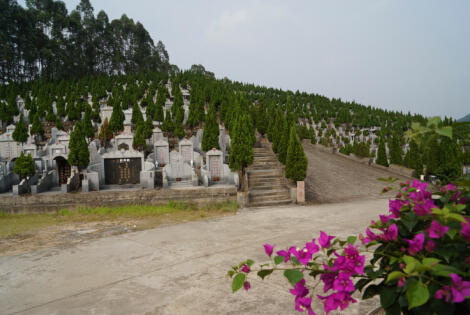 Ĺ�أ���˼�����