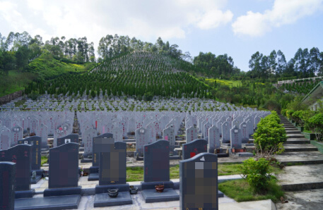 Ĺ�أ��������������������