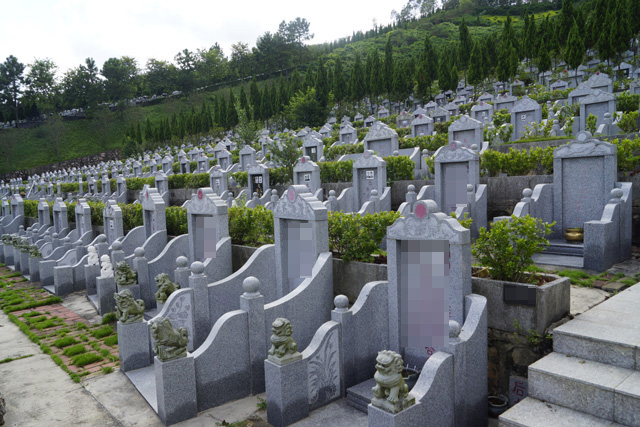 ��Ĺ��һ��������̬��һ���������