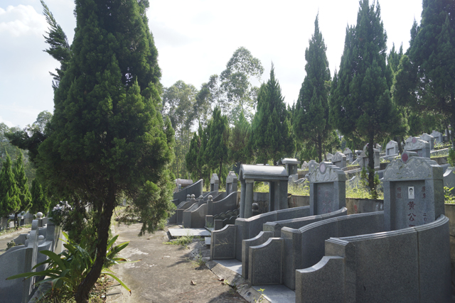 ��ʵ����һ������ʿ�ǿ�������Ĺ�������