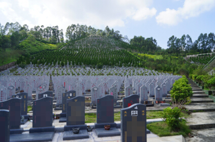 Ϊ������������Ĺ�أ�Ҳ��һ��Т��