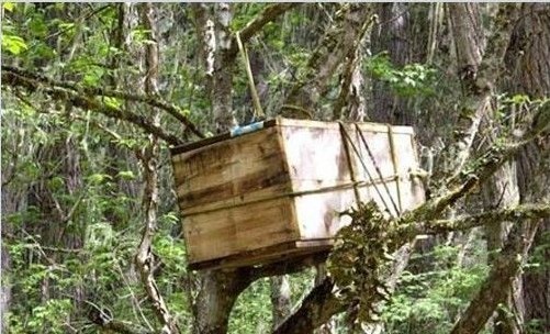 û�й�Ĺ��ֻ�й��ϵġ����ᡱ