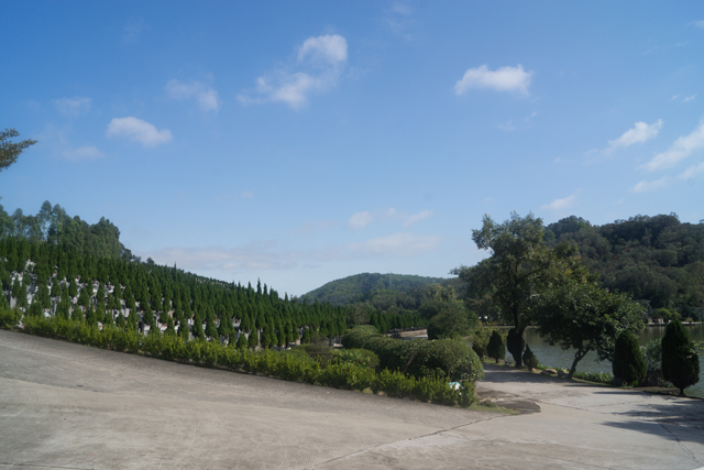 ��Ĺ��ˮ֪���٣�