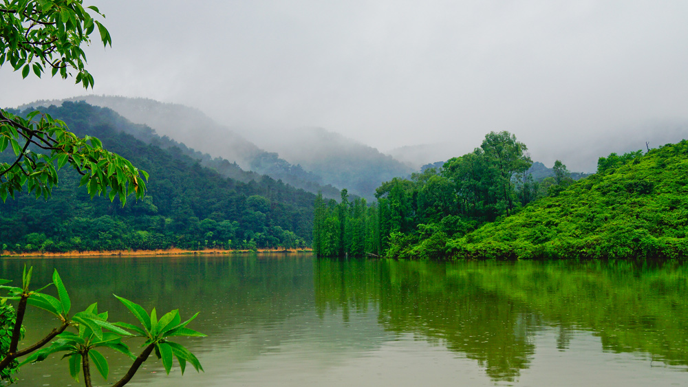 ���ӵ�����