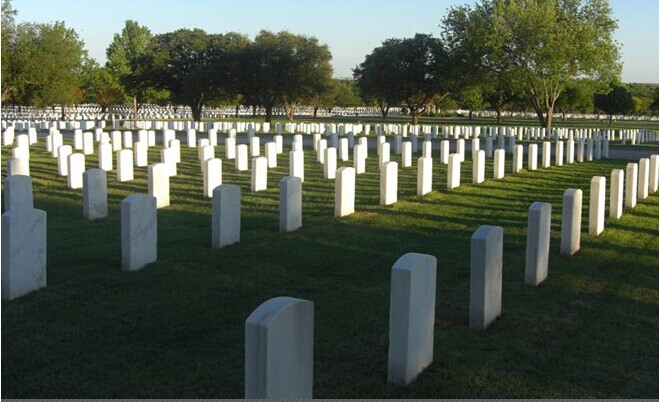 6�����˹�ע�� ����ҵ������