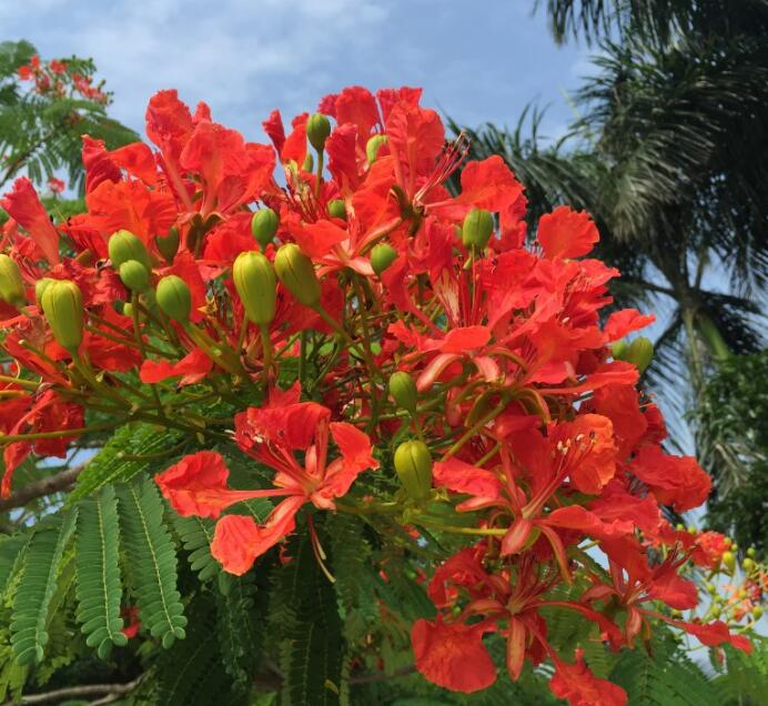 ��˻���������